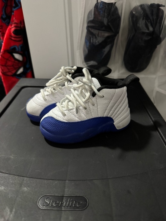 Jordan Other - Retro 12s blueberry